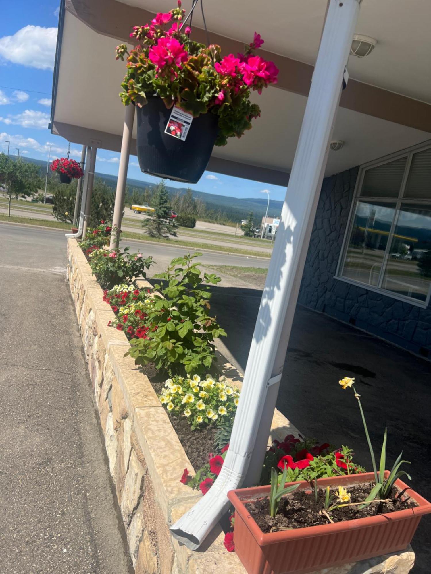 Tara Vista Inn Hinton Εξωτερικό φωτογραφία